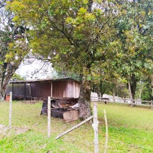 Terreno, no bairro Sagrada Família em Caxias do Sul para Comprar