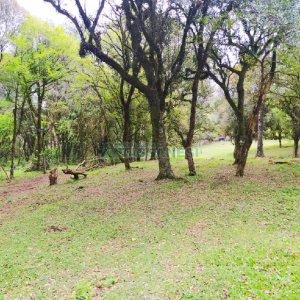 Terreno, no bairro Sagrada Família em Caxias do Sul para Comprar