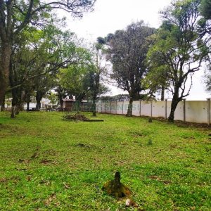 Terreno, no bairro Sagrada Família em Caxias do Sul para Comprar