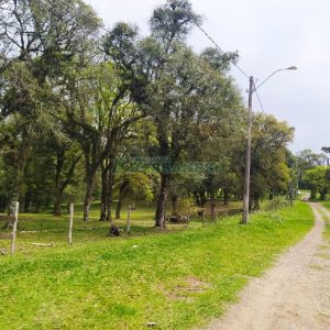 Terreno, no bairro Sagrada Família em Caxias do Sul para Comprar