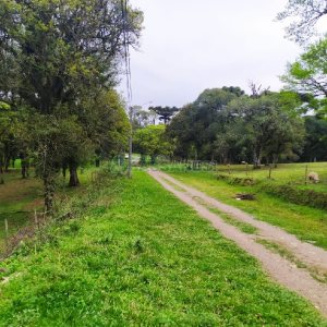 Terreno, no bairro Sagrada Família em Caxias do Sul para Comprar