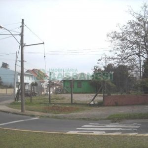 Terreno com 665m², no bairro Jardim América em Caxias do Sul para Alugar