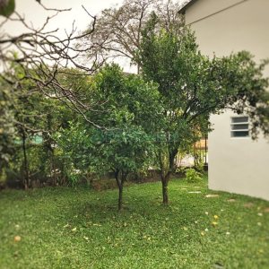 Casa Comercial com 254m², 8 dormitórios, 3 vagas, no bairro Jardim América em Caxias do Sul para Alugar