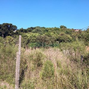 Terreno, no bairro Fatima em Caxias do Sul para Comprar