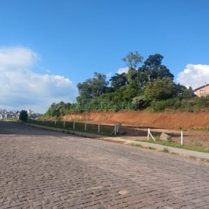 Terreno com 4045m², no bairro Santa Catarina em Caxias do Sul para Comprar