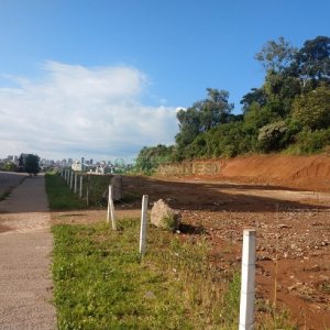 Terreno com 4045m², no bairro Santa Catarina em Caxias do Sul para Comprar