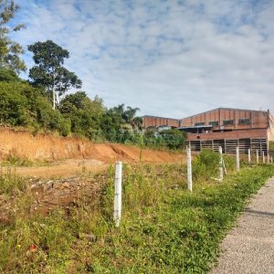 Terreno com 4045m², no bairro Santa Catarina em Caxias do Sul para Comprar