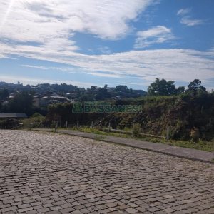 Terreno com 11663m², no bairro Santa Catarina em Caxias do Sul para Comprar