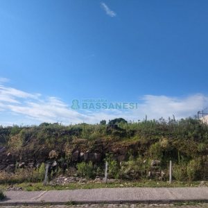 Terreno com 11663m², no bairro Santa Catarina em Caxias do Sul para Comprar