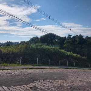 Terreno com 6021m², no bairro Santa Catarina em Caxias do Sul para Comprar