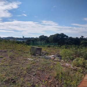 Terreno com 6021m², no bairro Santa Catarina em Caxias do Sul para Comprar