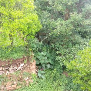 Casa com 100m², 3 dormitórios, 1 vaga, no bairro Panazzolo em Caxias do Sul para Comprar