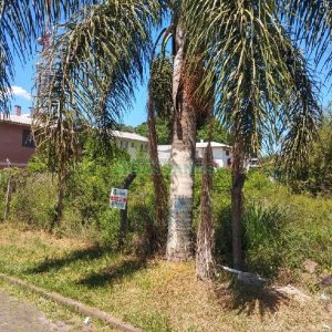 Terreno com 360m², no bairro Jardim América em Caxias do Sul para Comprar