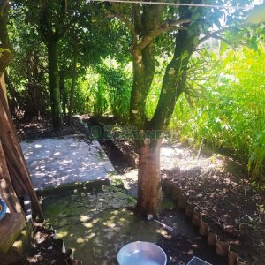 Casa com 143m², 3 dormitórios, 2 vagas, no bairro Desvio Rizzo em Caxias do Sul para Comprar