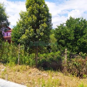 Terreno com 360m², no bairro Cidade Nova em Caxias do Sul para Alugar