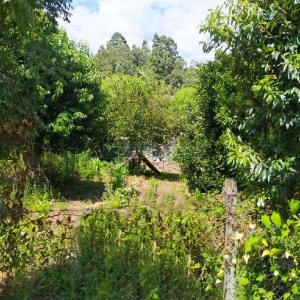 Terreno com 360m², no bairro Cidade Nova em Caxias do Sul para Alugar