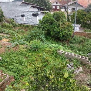 Casa com 100m², 3 dormitórios, no bairro Universitário em Caxias do Sul para Comprar