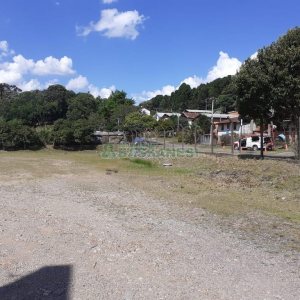 Terreno com 25000m², no bairro Pedancino em Caxias do Sul para Alugar
