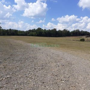Terreno com 25000m², no bairro Pedancino em Caxias do Sul para Alugar