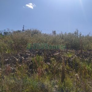 Terreno, no bairro São Giácomo em Caxias do Sul para Comprar