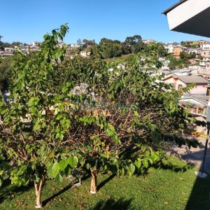 Casa com 338m², 3 dormitórios, 2 vagas, no bairro Arco Baleno em Caxias do Sul para Comprar