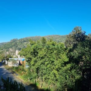 Casa com 195m², 3 dormitórios, 2 vagas, no bairro Galópolis em Caxias do Sul para Comprar