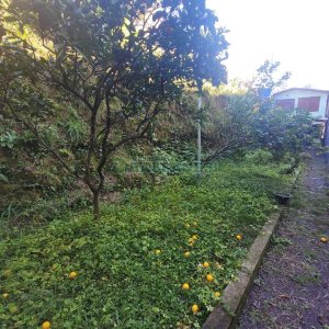 Casa Comercial com 190m², 3 dormitórios, no bairro Lourdes em Caxias do Sul para Alugar