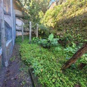 Casa Comercial com 190m², 3 dormitórios, no bairro Lourdes em Caxias do Sul para Alugar