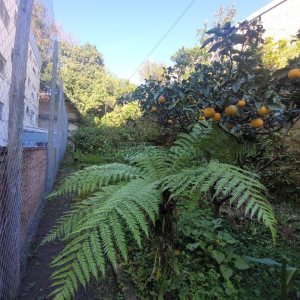 Casa Comercial com 190m², 3 dormitórios, no bairro Lourdes em Caxias do Sul para Alugar