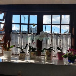 Casa com 246m², 6 dormitórios, 4 vagas, no bairro Cruzeiro em Caxias do Sul para Comprar