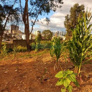 Terreno, no bairro Marechal Floriano em Caxias do Sul para Comprar