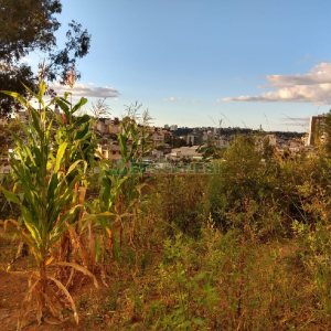 Terreno, no bairro Marechal Floriano em Caxias do Sul para Comprar