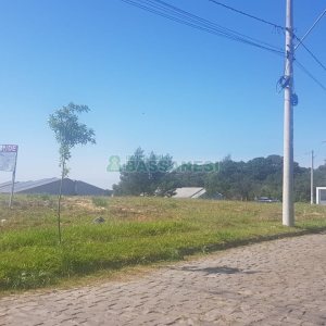 Terreno, no bairro Nossa Senhora das Graças em Caxias do Sul para Comprar