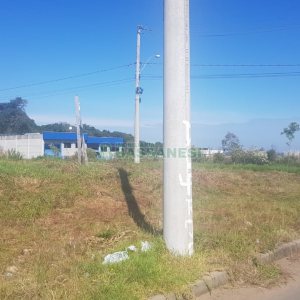 Terreno, no bairro Nossa Senhora das Graças em Caxias do Sul para Comprar
