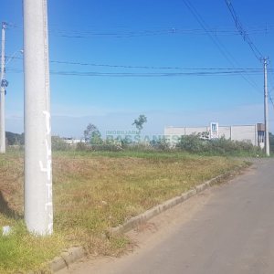 Terreno, no bairro Nossa Senhora das Graças em Caxias do Sul para Comprar