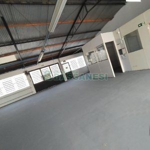 Pavilhão com 600m², no bairro Salgado Filho em Caxias do Sul para Alugar