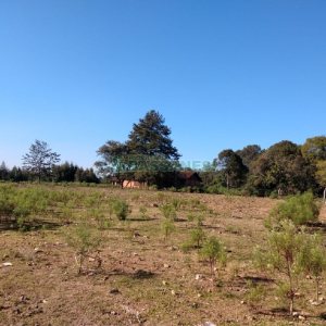 Terreno, no bairro Industrial em Caxias do Sul para Comprar
