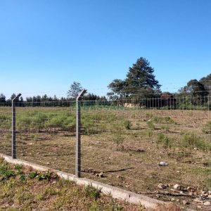 Terreno, no bairro Industrial em Caxias do Sul para Comprar