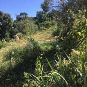 Terreno, no bairro Nossa Senhora das Graças em Caxias do Sul para Comprar