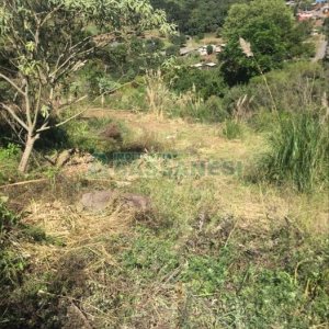 Terreno, no bairro Nossa Senhora das Graças em Caxias do Sul para Comprar