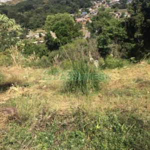 Terreno, no bairro Nossa Senhora das Graças em Caxias do Sul para Comprar