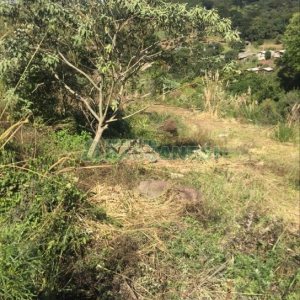 Terreno, no bairro Nossa Senhora das Graças em Caxias do Sul para Comprar