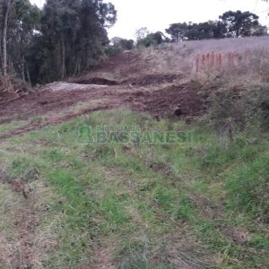 Terreno, no bairro Centro em Flores da Cunha para Comprar