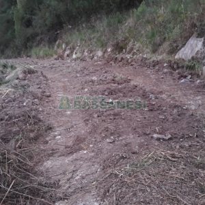 Terreno, no bairro Centro em Flores da Cunha para Comprar