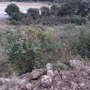 Terreno, no bairro Centro em Flores da Cunha para Comprar