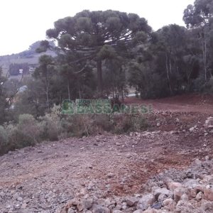 Terreno, no bairro Centro em Flores da Cunha para Comprar