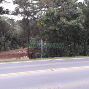 Terreno, no bairro Centro em Flores da Cunha para Comprar
