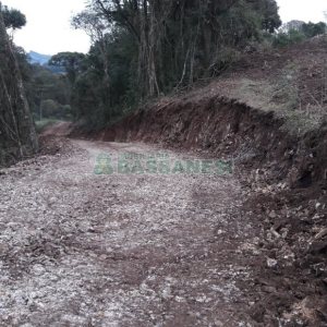 Terreno, no bairro Centro em Flores da Cunha para Comprar