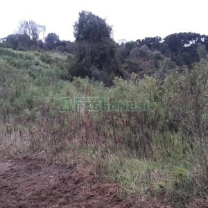 Terreno, no bairro Centro em Flores da Cunha para Comprar