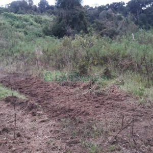 Terreno, no bairro Centro em Flores da Cunha para Comprar
